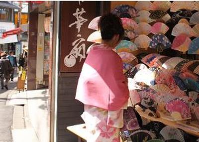Fan and Kimono.jpg